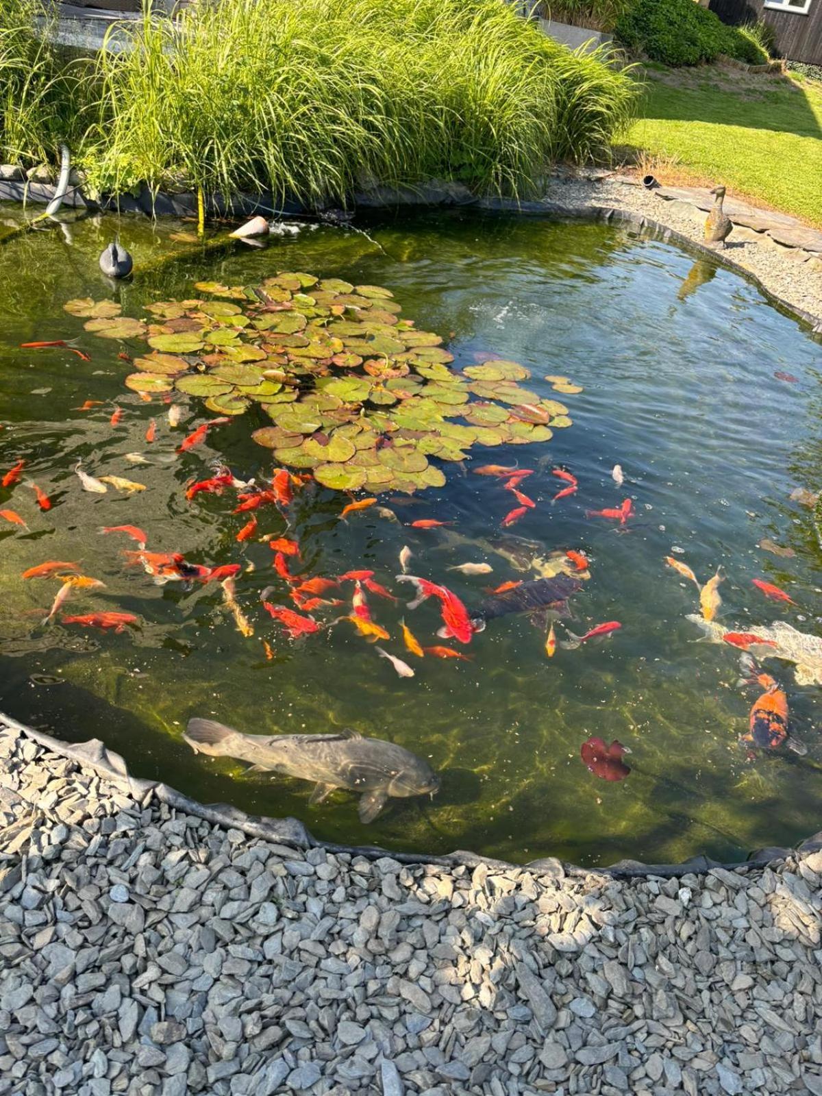 Le Clos Des Bansions 雅尔莱 外观 照片
